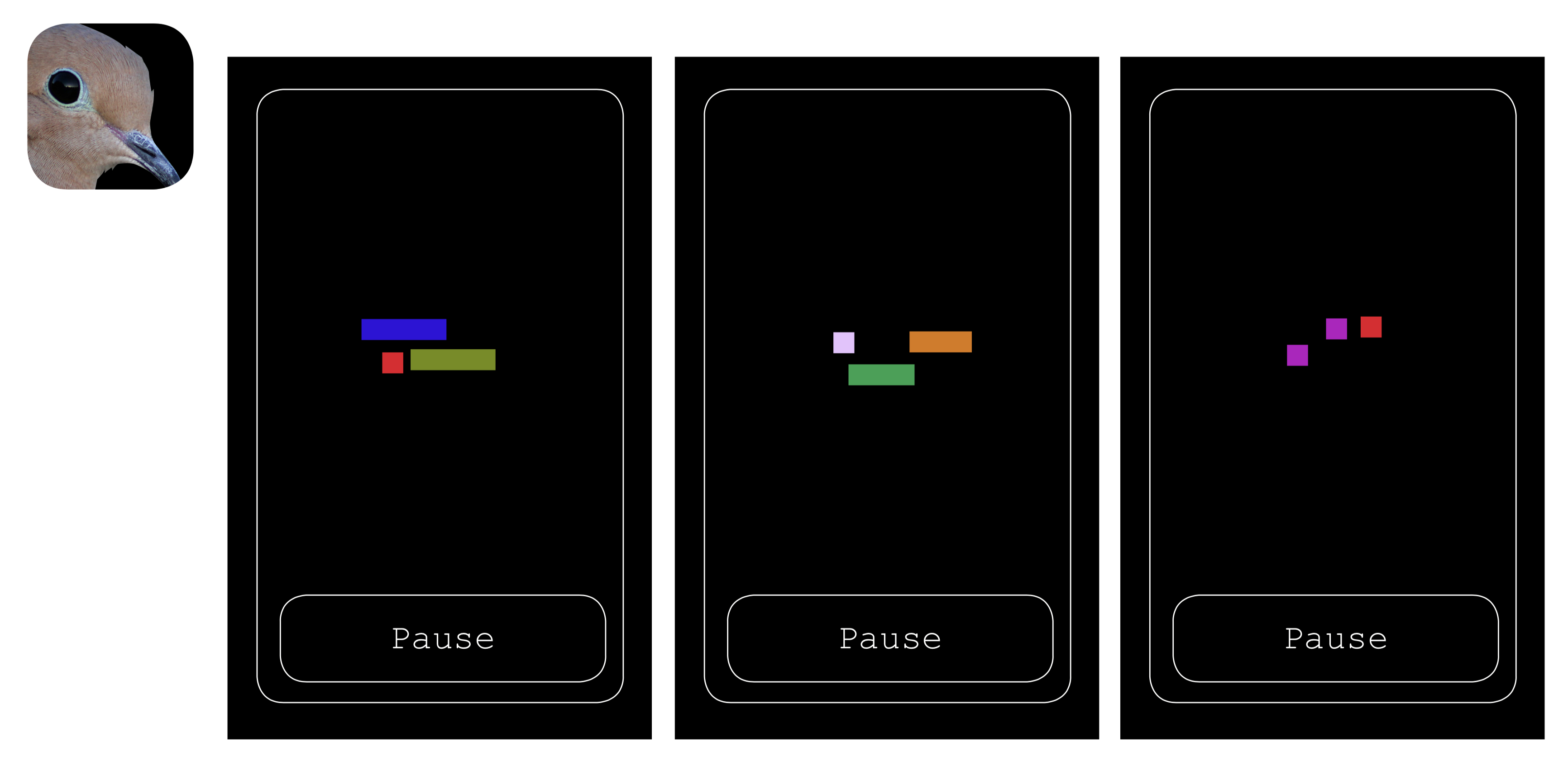 Design mockup of a phone app that shows three different screens with a black background with different colored blocks. To the left is a rounded square of the face of a mourning dove, looking over the designs.